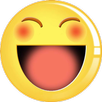 哈哈笑话 APK