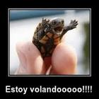 Imagenes Graciosas para Wasap icon