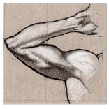 Arms Exercises