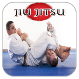 Jiu Jitsu