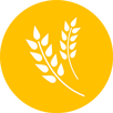 Agriculture APK