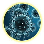 Microbiology