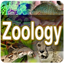 zoologia aplikacja