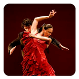 Ballroom Dancing (Guide)