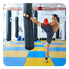 Kickboxing training APK