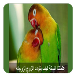 كيف كان الرسول يعامل زوجاته