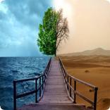 Weather App