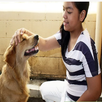 Look After Your Dog APK