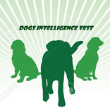 犬知能検査