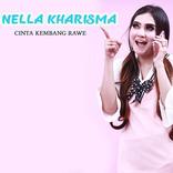 Nella Kharisma Photo Wallpapers