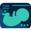 Obstetrics & Gyenacology Ultra APK