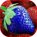 Fruit Wallpaper