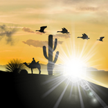 Desert LWP