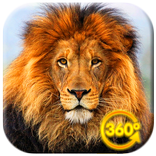 VR Wild Animals 360