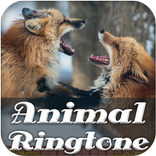 Animal Ringtone