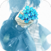 Anime Garden APK