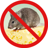 Anti Rat Repeller - Mouse