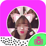 Cat Face Camera App