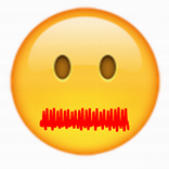 voice feedback