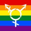 Transgender Dating & Chat APK