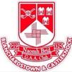 St Brigids GAA Club APK