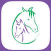 Stretch Your Horse APK