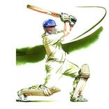 Cricket Mania 2018