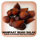 Manfaat dan Khasiat Buah Salak APK