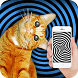 催眠術研修猫のジョーク