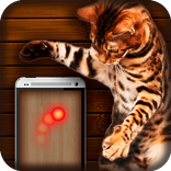Cat toy: laser point