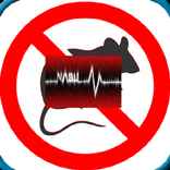 Sound Anti Mouse