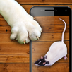 Mouse for cat toy APK