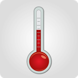 Digital Thermometer