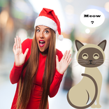 Cat Translator Simulator