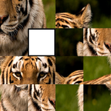 ”Image Puzzle