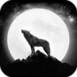 AppLock Theme Night