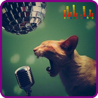 Cat Soundboard icon