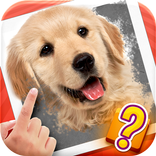 Scratch Quiz
