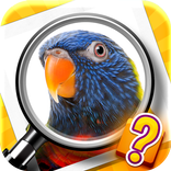 Zoom Quiz