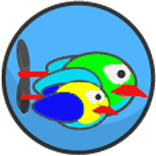 Bird Families