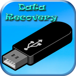 Data Recovery (Memory and Pendrive)