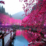 Japan Tourist Attractions