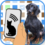 Dog Teasers Free