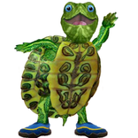 Talking Turtle
