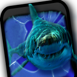 ”Angry Shark Pet Cracks Screen