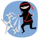 Ninja Fighter