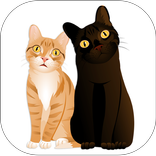 CamMoji by Cole and Marmalade