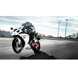 Bike Fighting Race