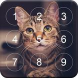 Screen Lock