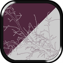 Other Place Appum™ APK
